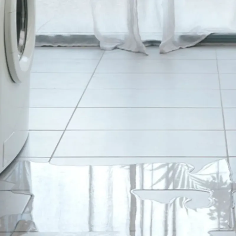 Appliance Leak Cleanup in Fort Myers, FL